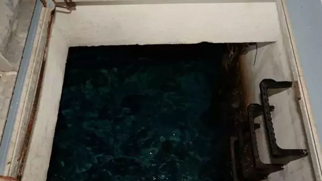 Epstein Adası Tuzak