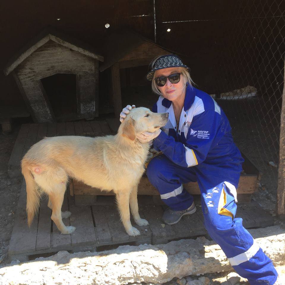 “Aylardır yardım istiyoruz Çeşme Belediyesi duymuyor”