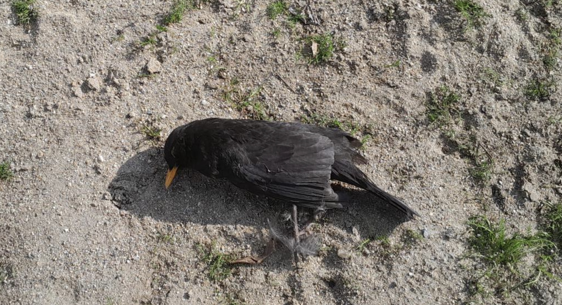 Görüntü 2.02.2026 15.25