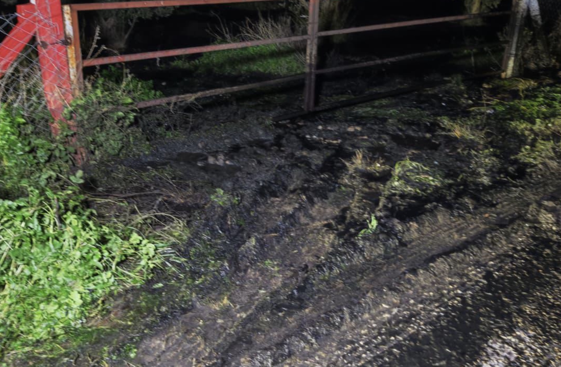 Görüntü 2.02.2026 15.27