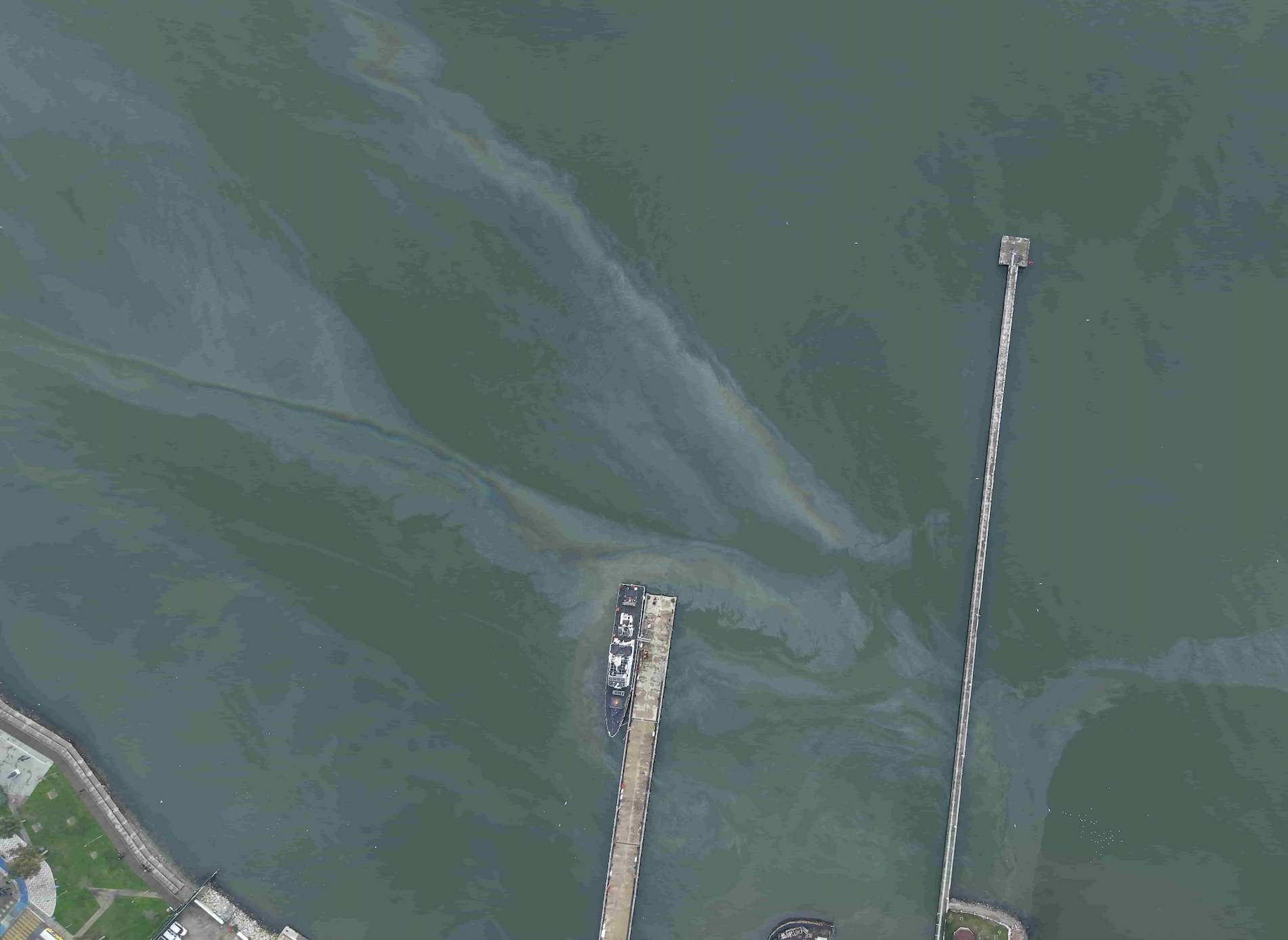 Görüntü 8.02.2026 16.29