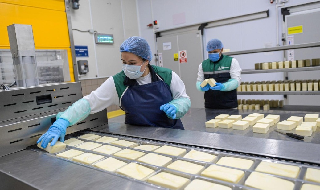 Bayındır Süt Fabrikası'nda üretim hattı genişliyor