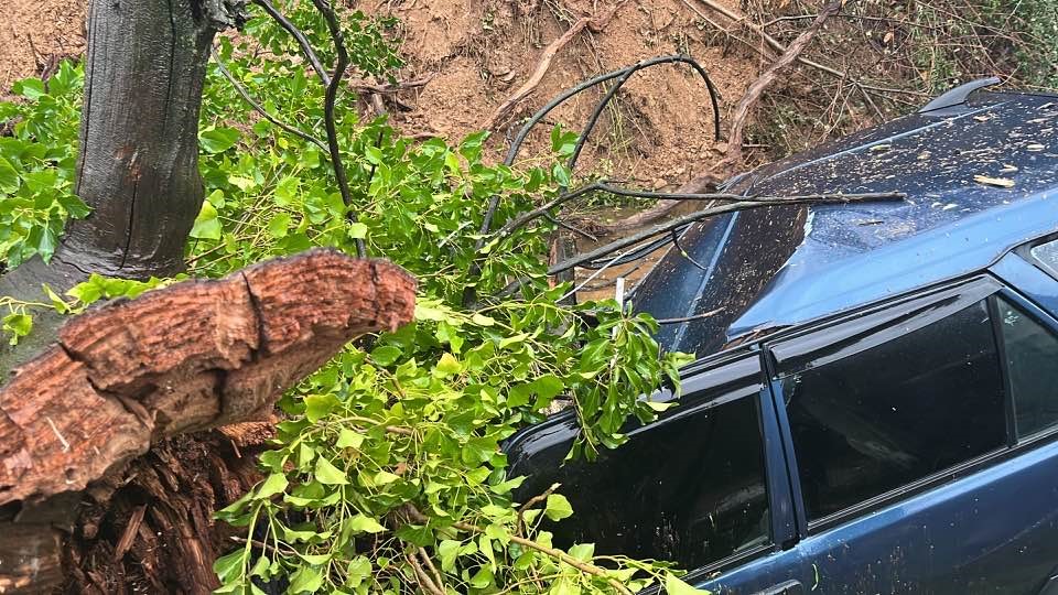 İzmir Ödemiş Heyelan