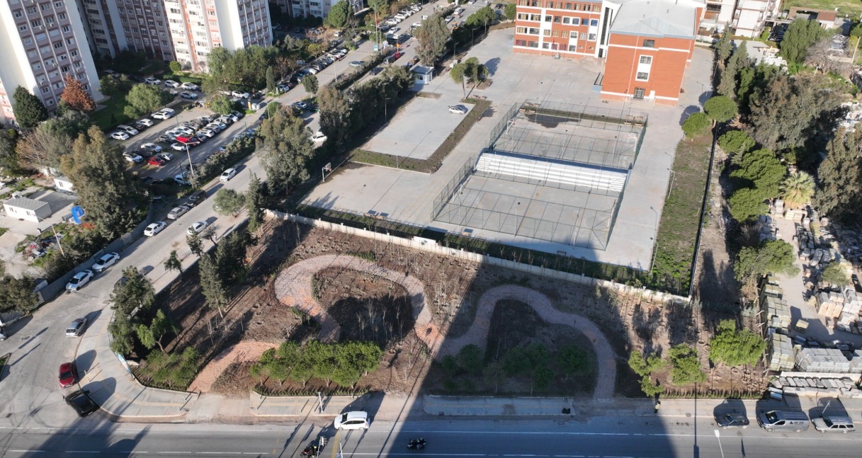 Sık dikim yöntemiyle gelen "Hızlı Orman" etkisi