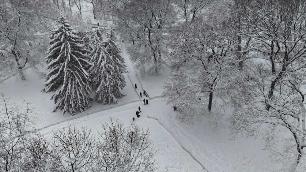 Kar Fırtınası Abd