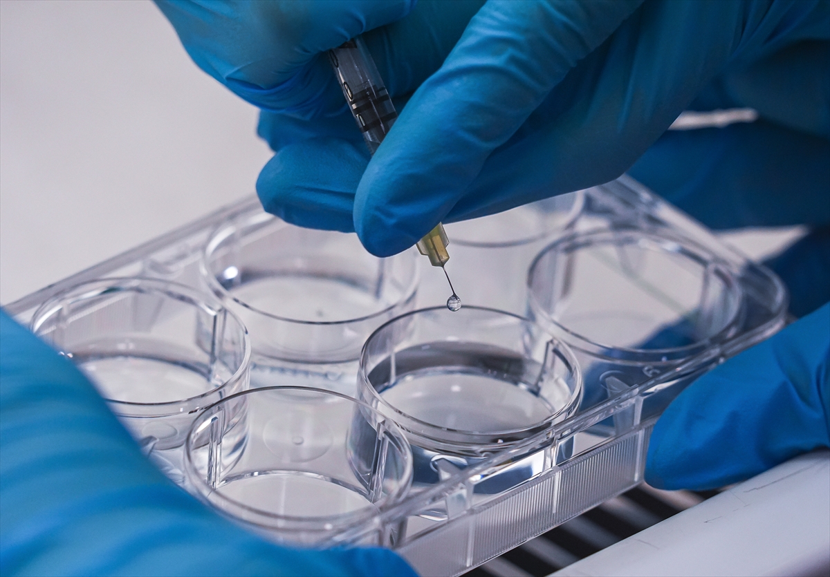 Klasik Yara Bantları Tarihe Karışıyor. İzmir’den Probiyotikli Devrim