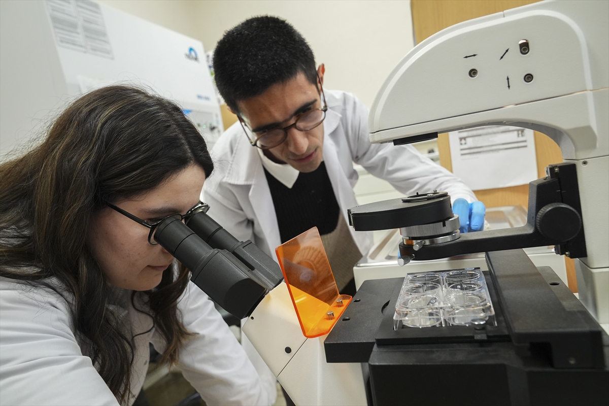 Klasik Yara Bantları Tarihe Karışıyor. İzmir’den Probiyotikli Devrim2