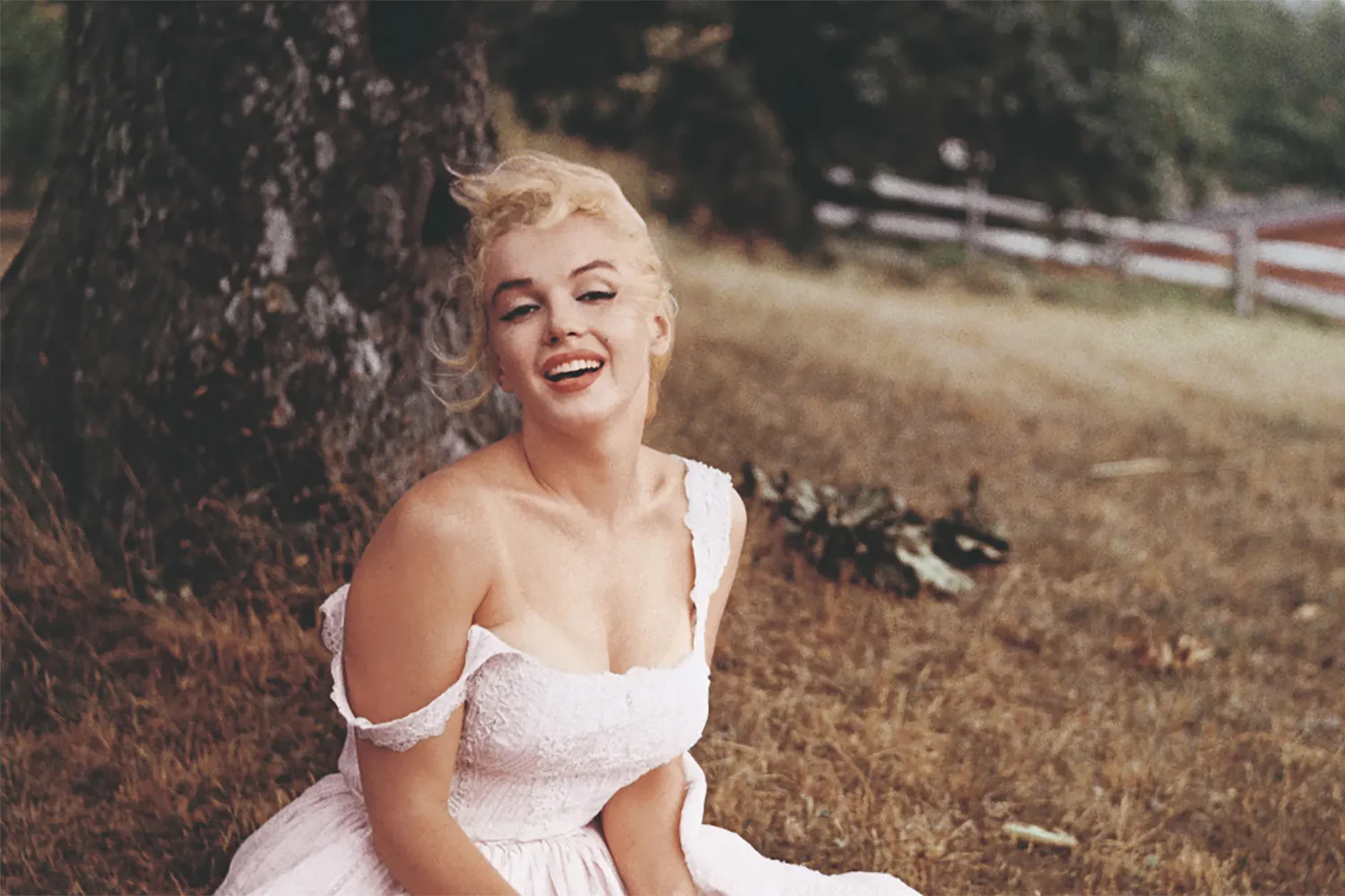 Marilyn Monroe 2
