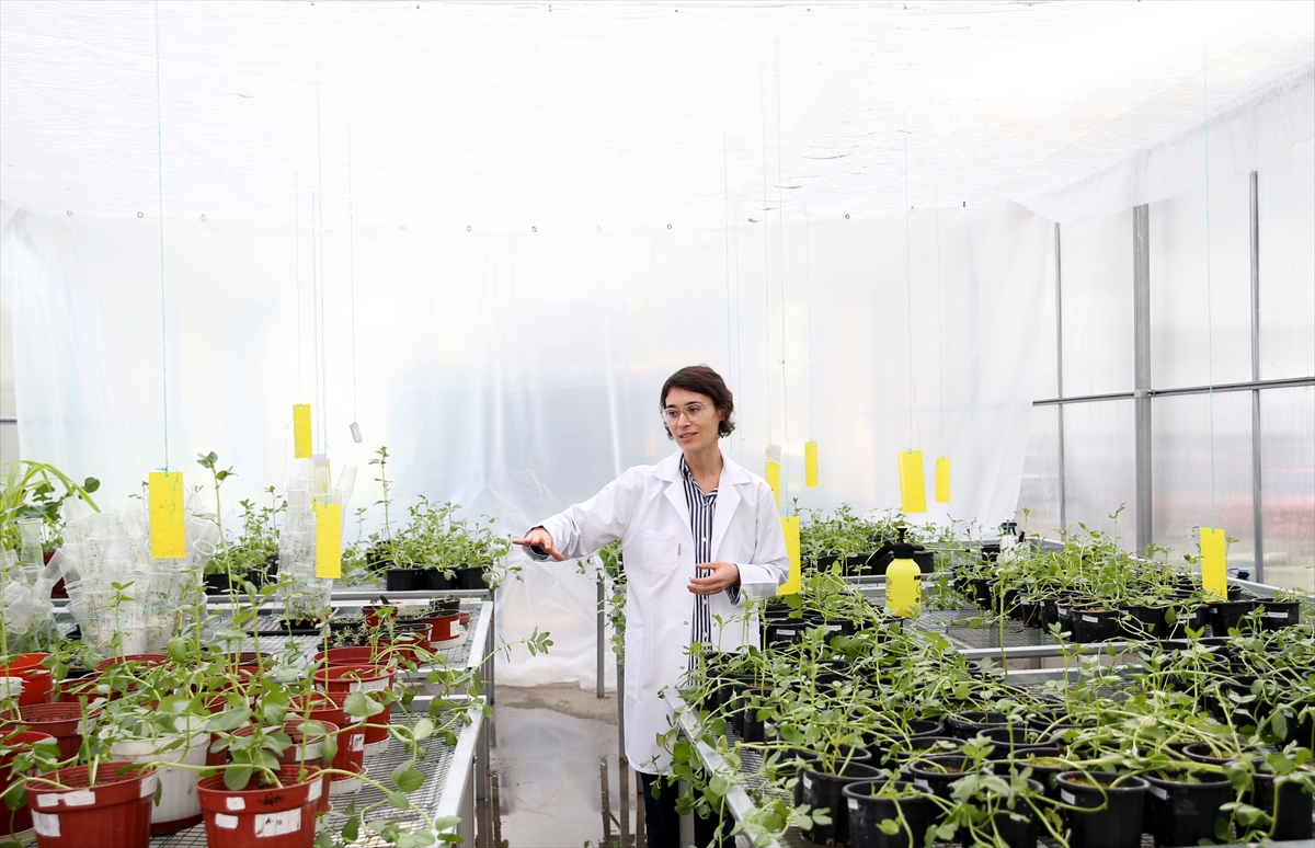 Türkiye’nin uzaydaki ilk bilimsel deneyine öncülük etti