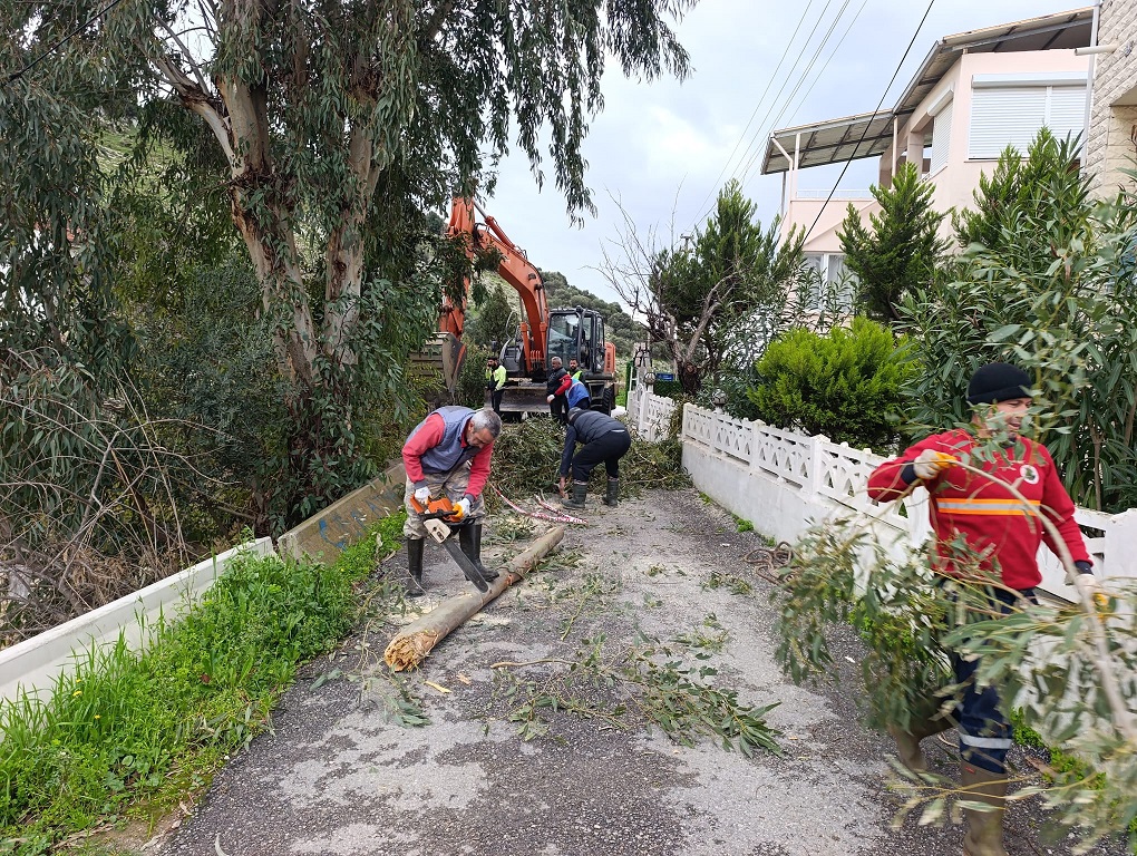 Menderes Temizlik (1)