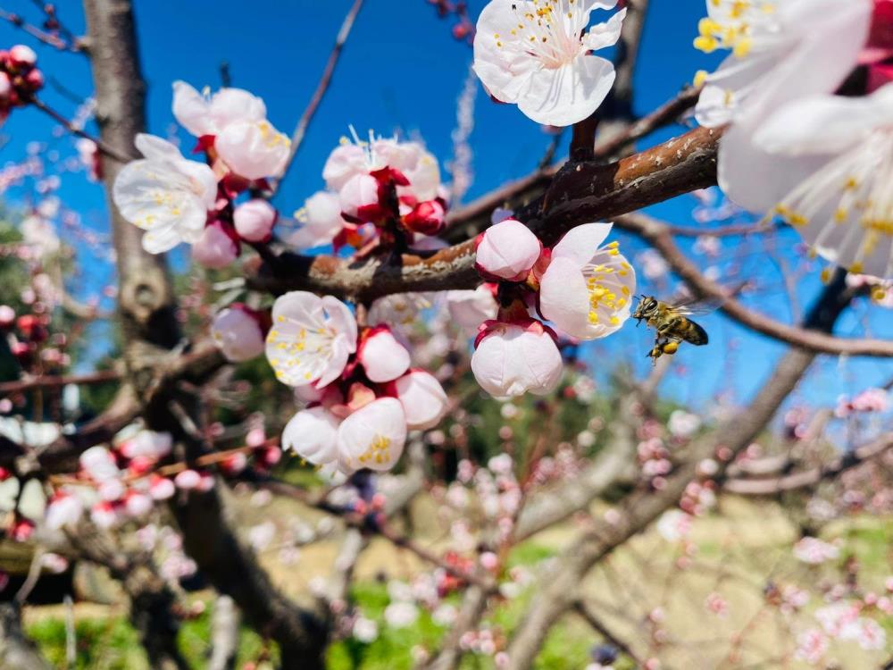 “Mutlaka ruhsatlı olması gerekiyor”
