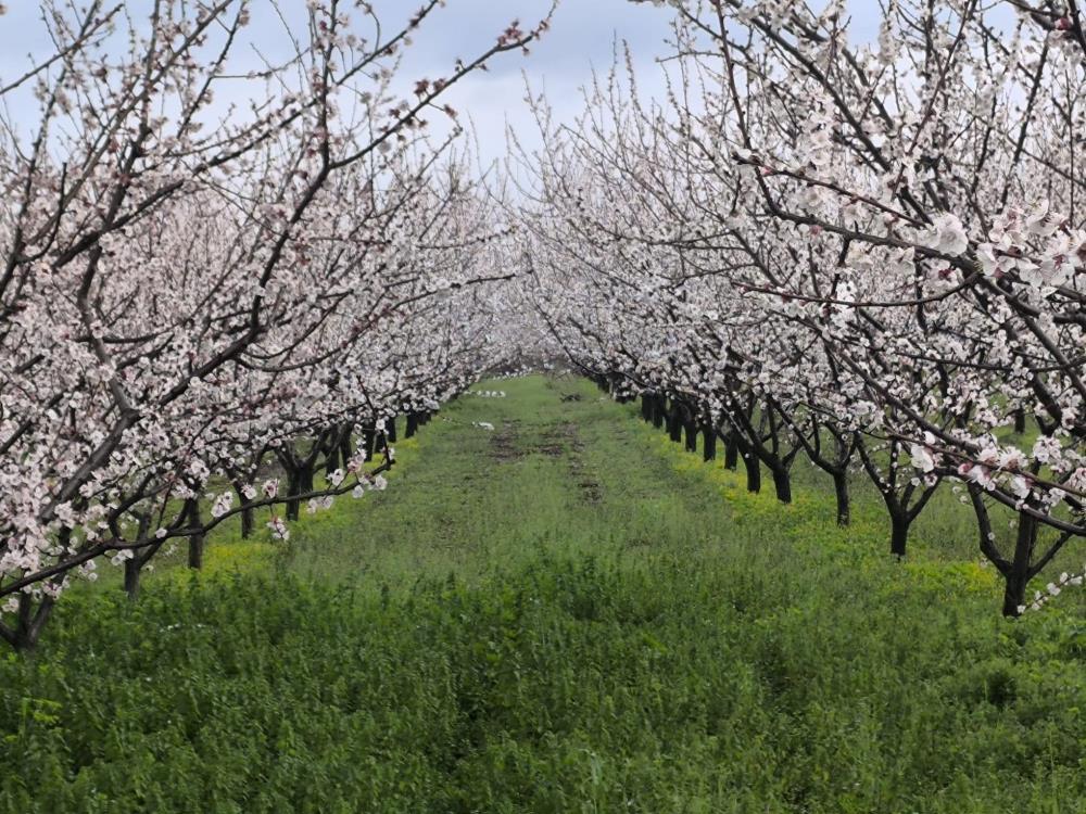 “Mutlaka ruhsatlı olması gerekiyor”