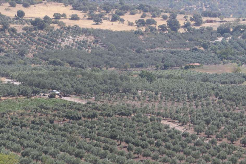 Eğer bulguya rastlanırsa mevzuata uyulacak