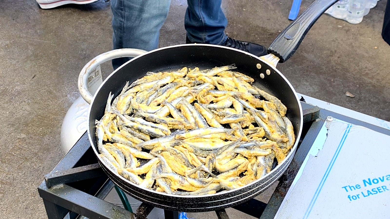 Muğla’da Hamsi Şöleni1