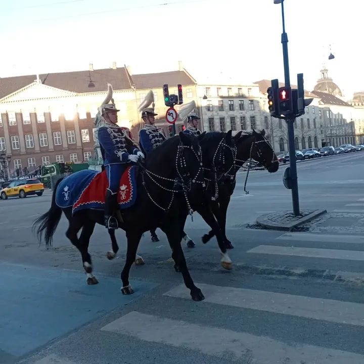 Serin Ama Zarif Kent6