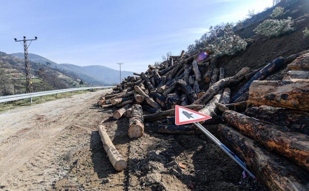 Menfez tıkanıklığı ve toprak kayması krizi tetikledi