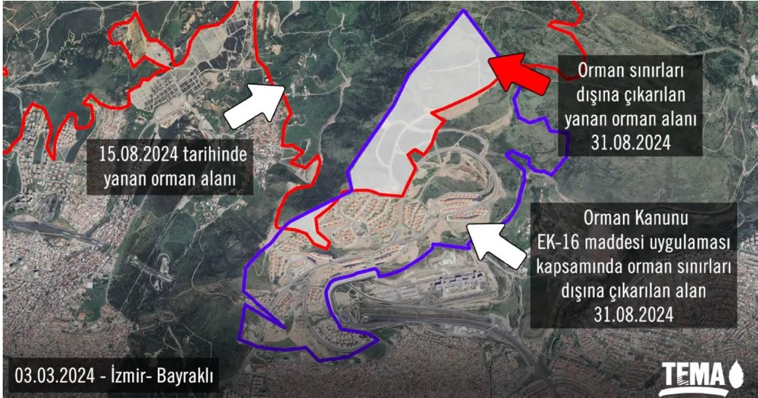 “Ağaçlandırma yaptıysanız orman nerede?”