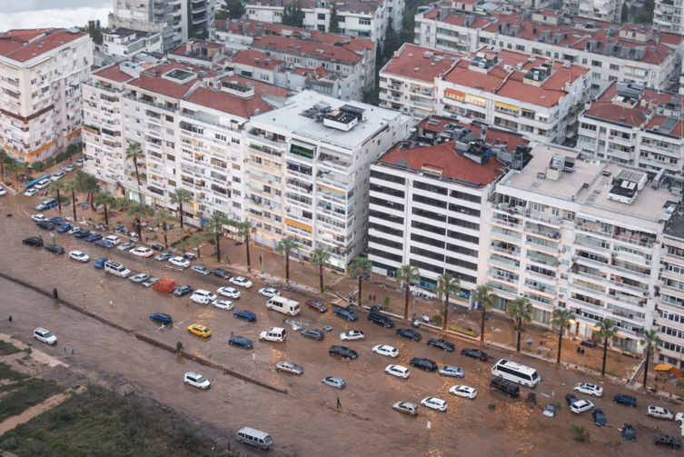 “Doğanın tabutuna son çivi çakıldı”