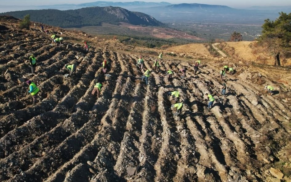 Yangın Yaktı, Doğa Geri Dönüyor