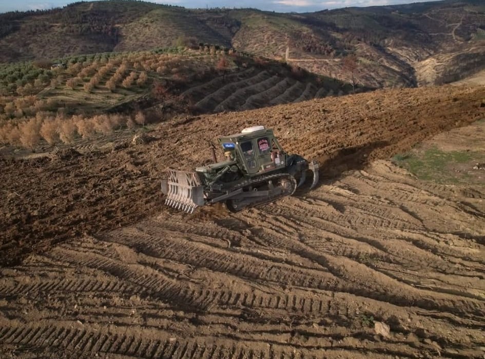 Yangın Yaktı, Doğa Geri Dönüyor1