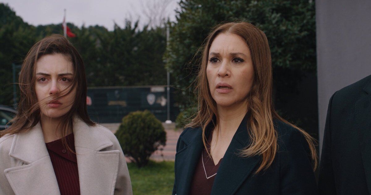 456472 E93 A96 D D4475 B3317 F4 D B7 C4 B9 1200X630