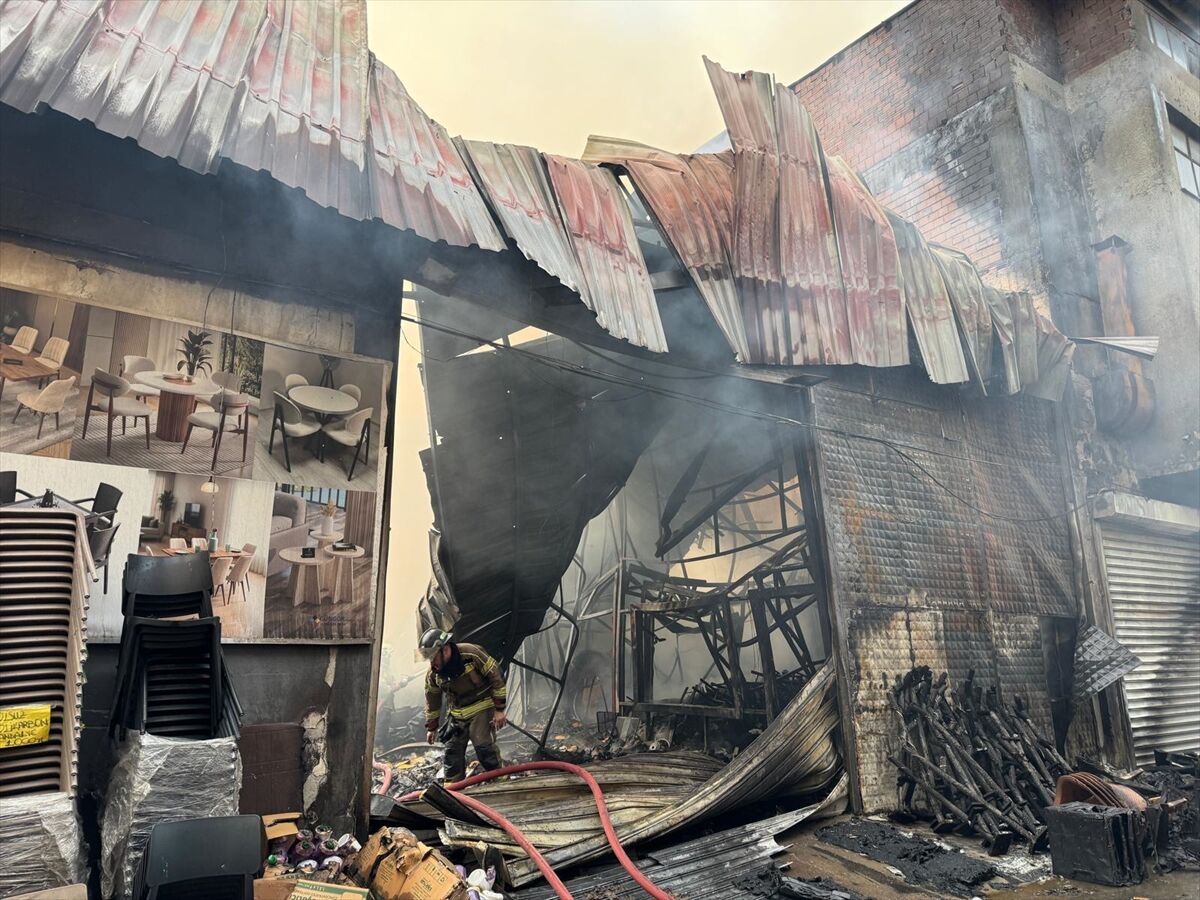 Z M I R D E A T O L Y E V E D E P O L A R D A C I K A N Y A N G I N A M U D A H A L E E D I L I Y O R