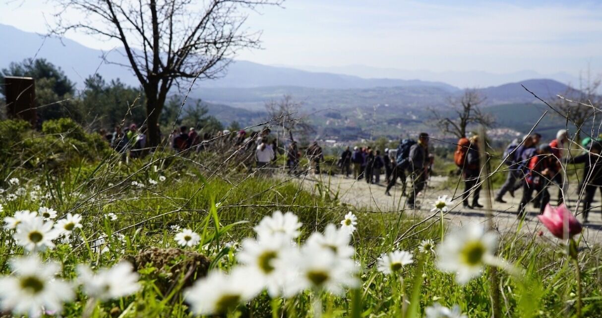 Çamlık’tan Şirince’ye uzanan 14 kilometrelik ekolojik yolculuk