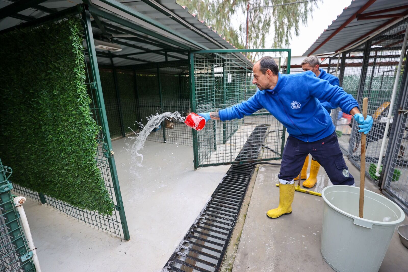 Başkan Görkem Duman: "Sessiz dostlarımızın sesi oluyoruz"