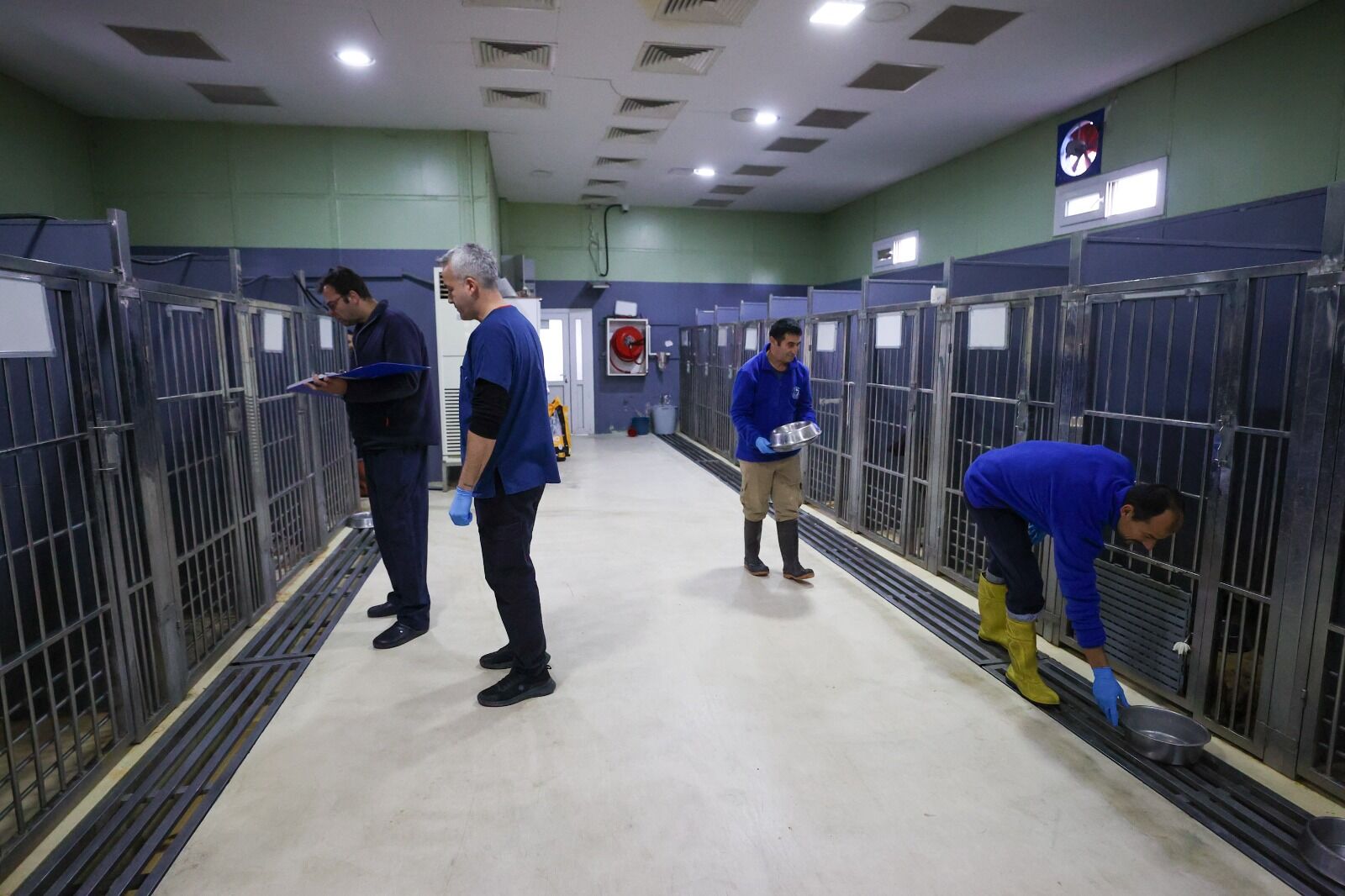 Padoklarda üst düzey dezenfeksiyon ve teknik temizlik