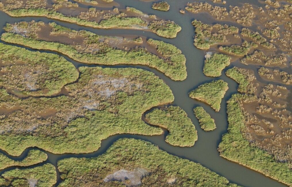 İzmir ve Manisa güçlerini birleştirdi: Aylık veriler yıllık rapora dönüşüyor