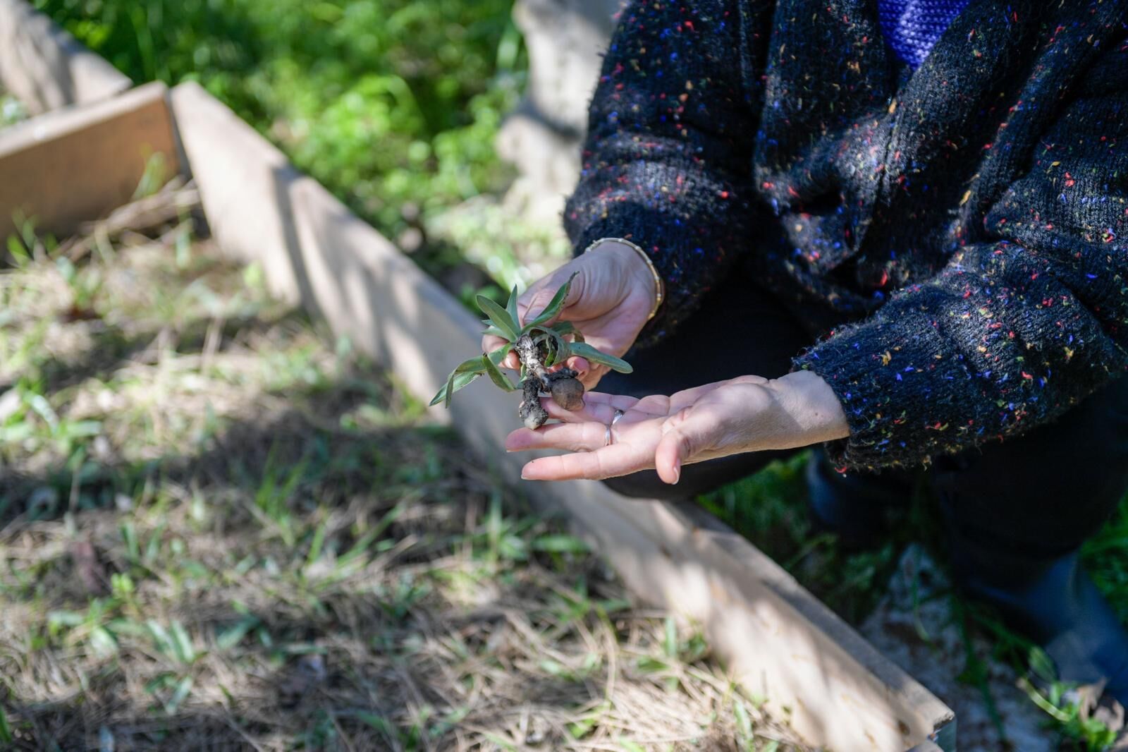 Emeklilikte toprakla buluştu