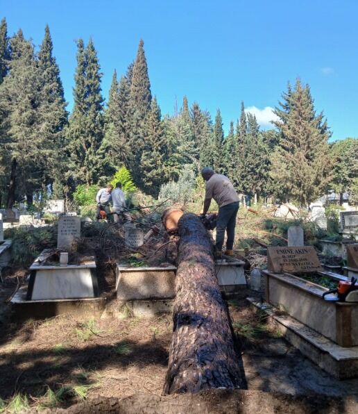 Ekipler sahada: Devrilen ağaçlar kaldırılıyor, mezarlar onarılıyor
