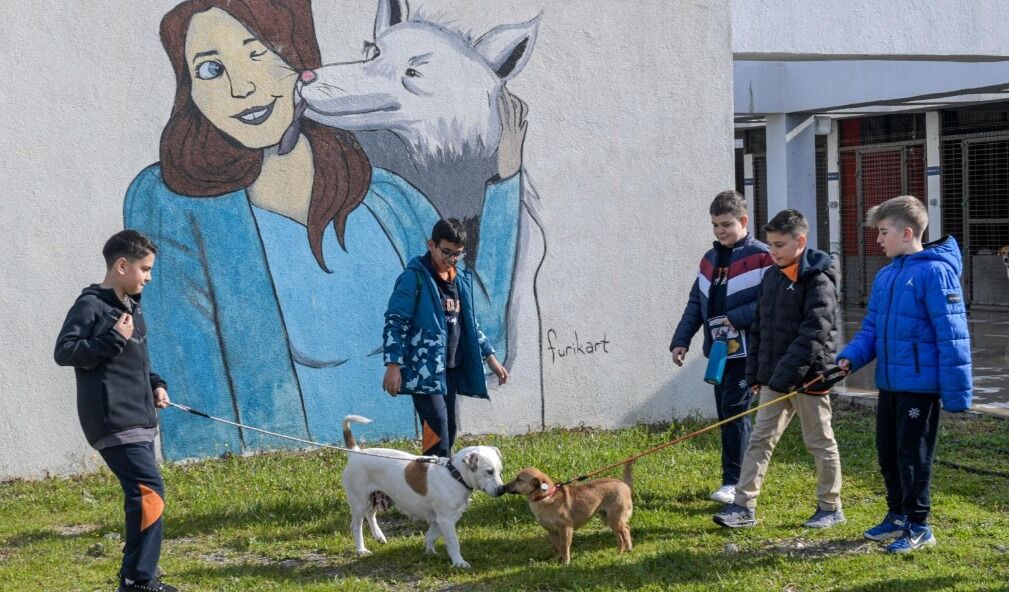 Modern kampüslerde 2 Bin 300 can yeni yuvasını bekliyor