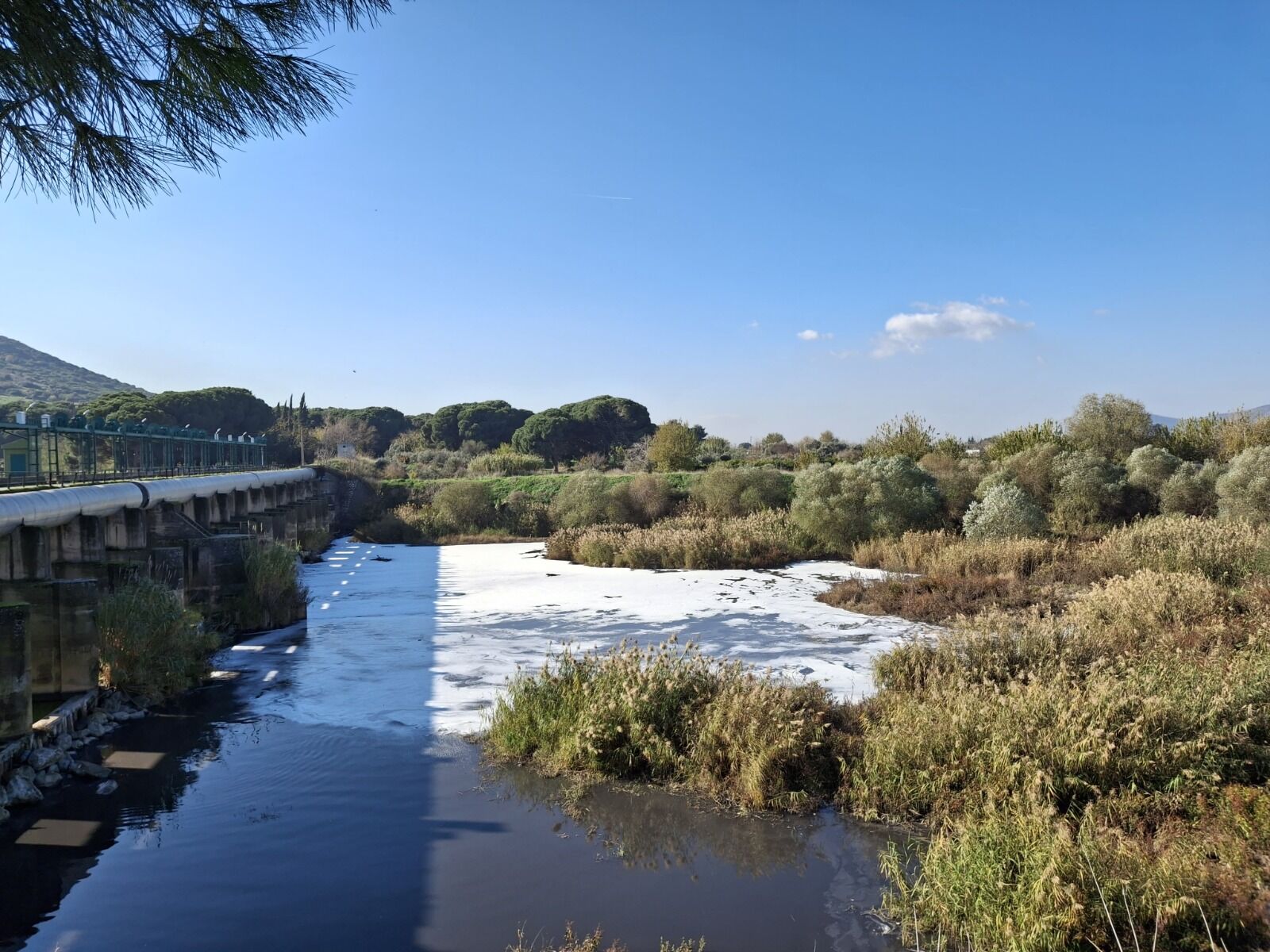 “Bu kentin sorunları umurlarında değil”