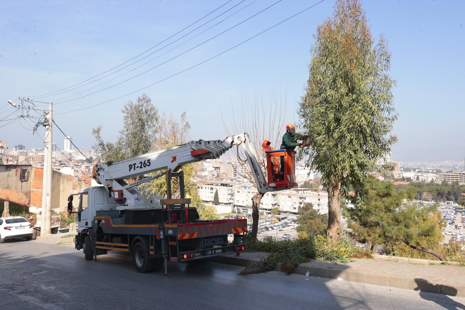 Yeşilin her tonunda estetik dokunuşlar