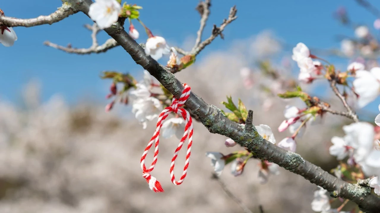 Martenicka X16P Cover