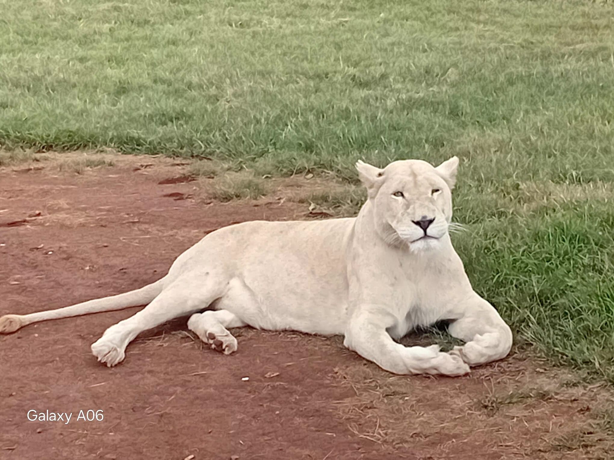 Whatsapp Image 2026 03 18 At 07.47.14-2