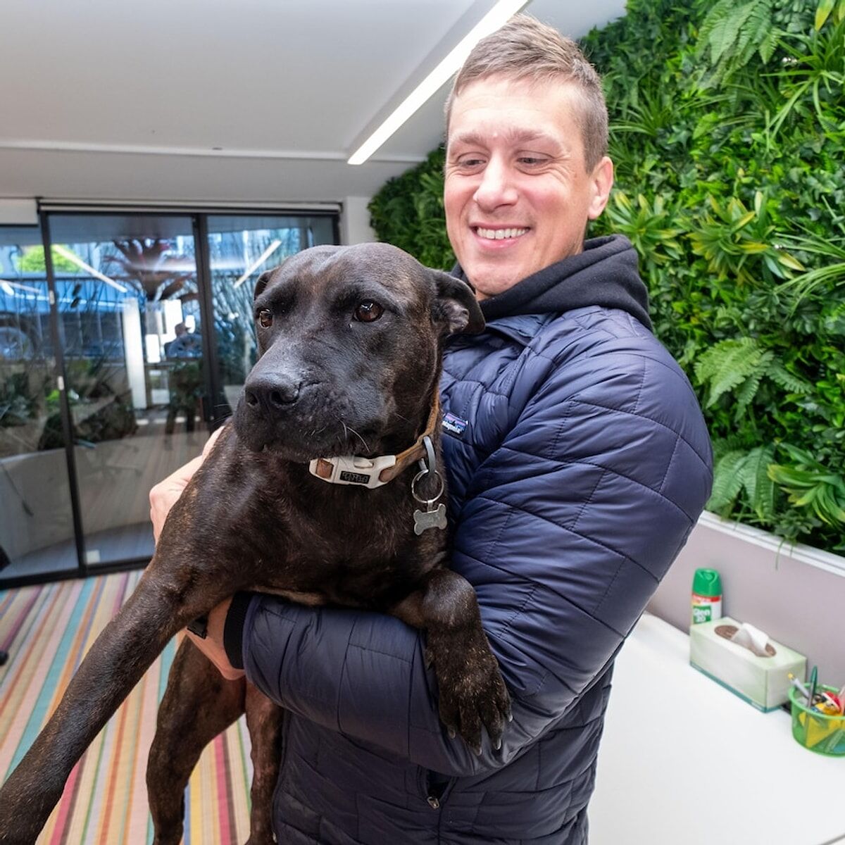 Yapay Zeka Ile Aşı 2