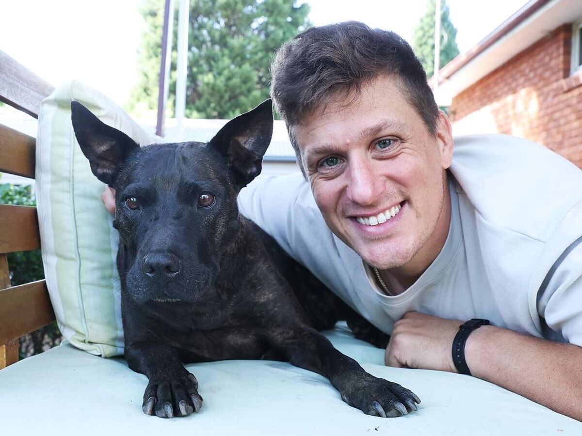 Yapay Zeka Ile Aşı