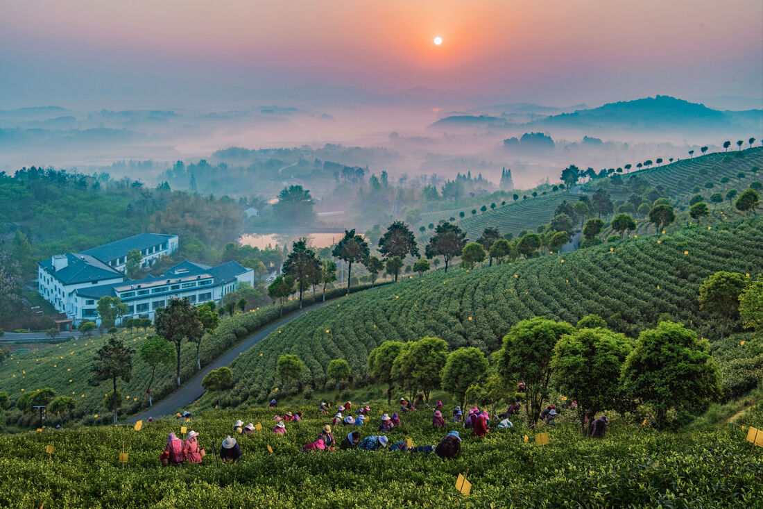 1. Şehrin Yeşil Nefesi