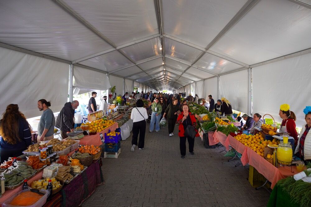 15. Uluslararası Alaçatı Ot Festivali’nde Stantlar Açıldı, Yarışmalar Ve Etkinlikler Hafta Sonu Boyunca Sürüyorimg 4029