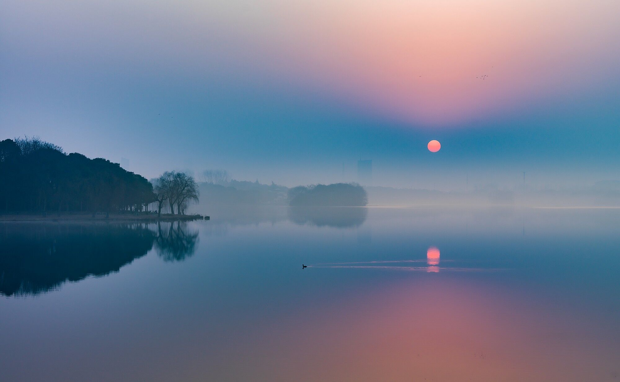 2. Şehrin Yeşil Nefesi