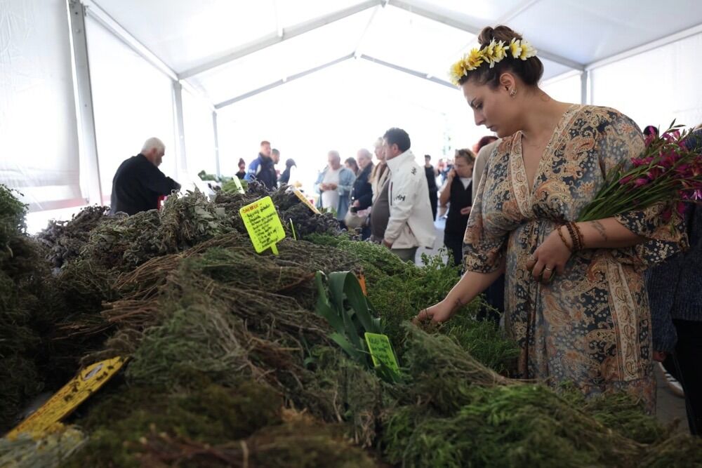 İlk kez uluslararası kimlikte 