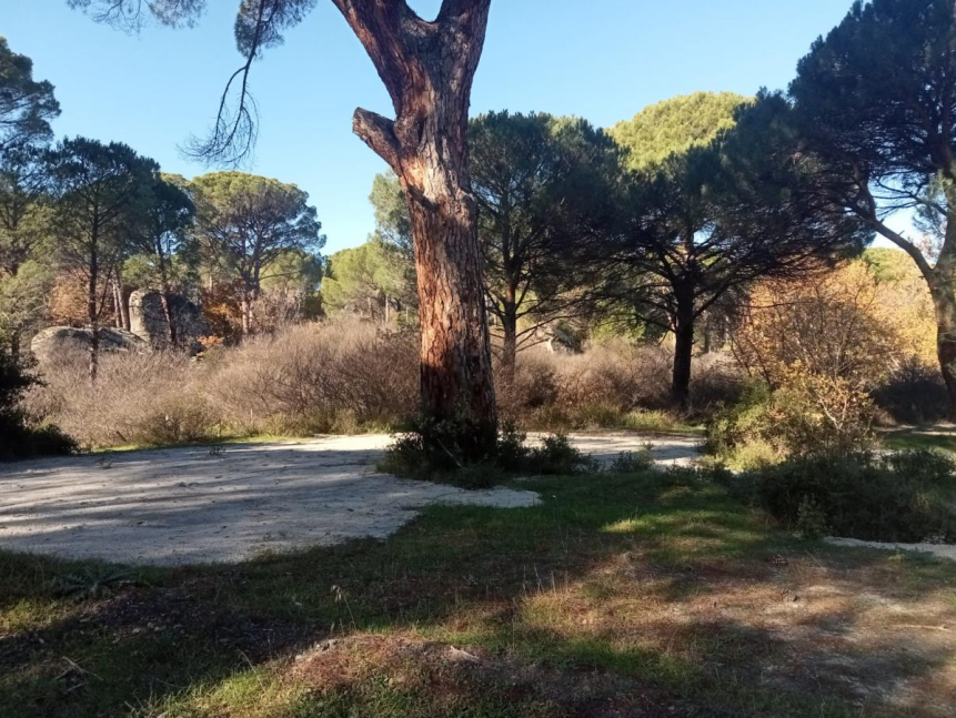 Bergama Fıstık Cenneti (2)