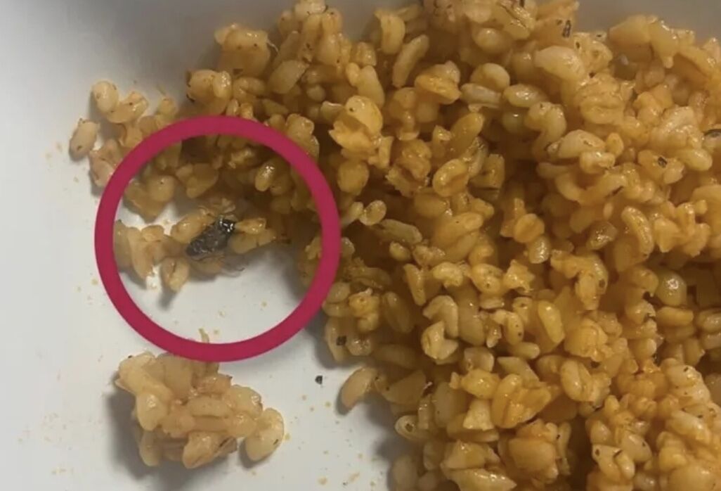 Görüntü 10.04.2026 13.12