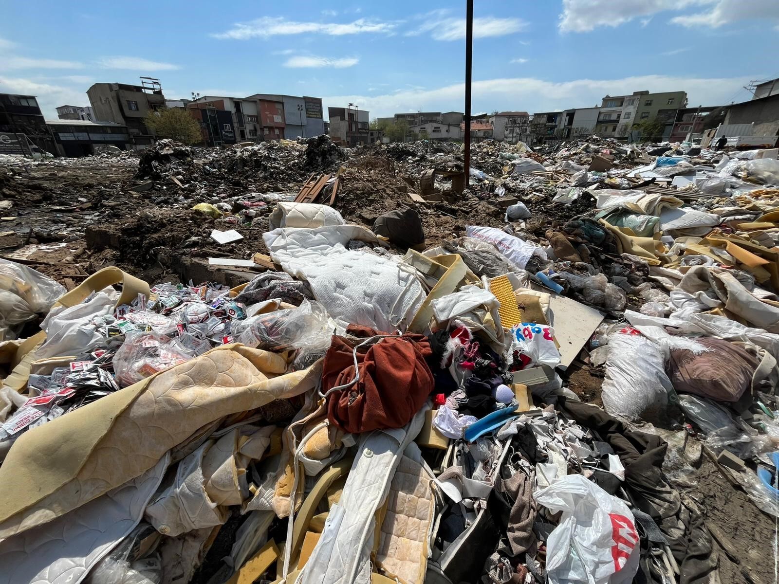 Halk sağlığı alarm veriyor: Fareler ve salgın riski