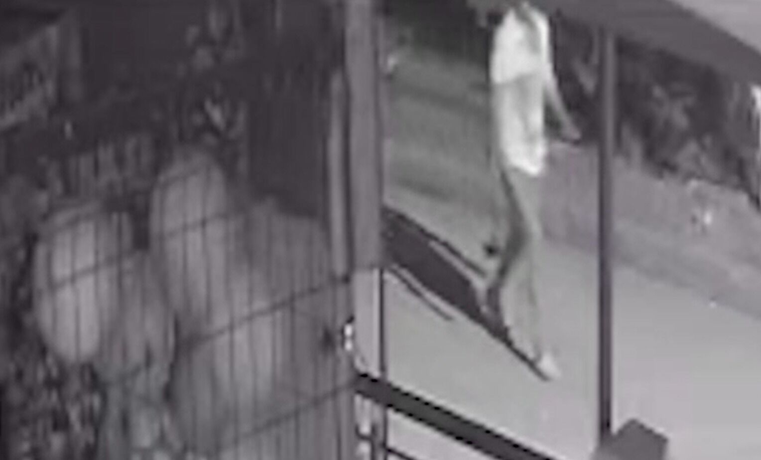 "Uyuyan adamı savunmasız yakaladı"