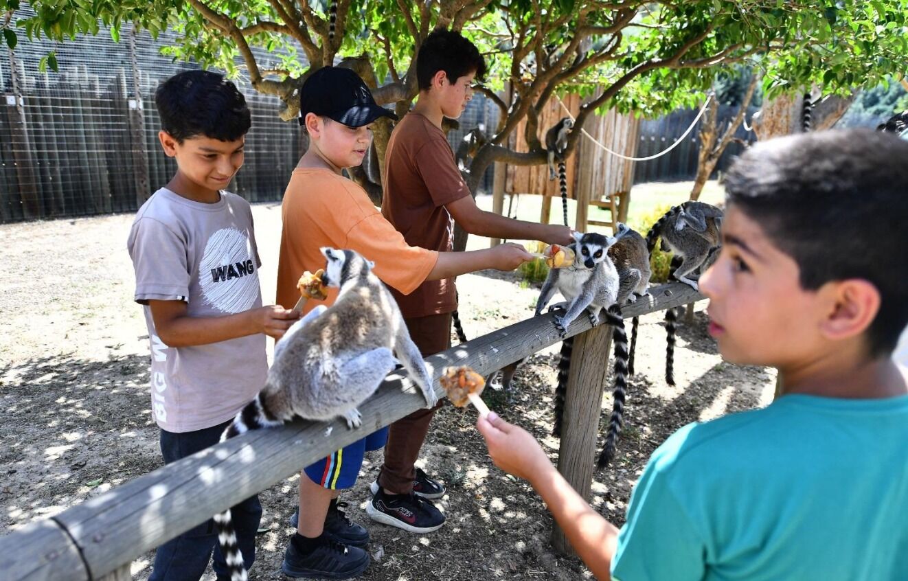 Yaz mesaisi başlıyor ama güncellenen saatlere dikkat