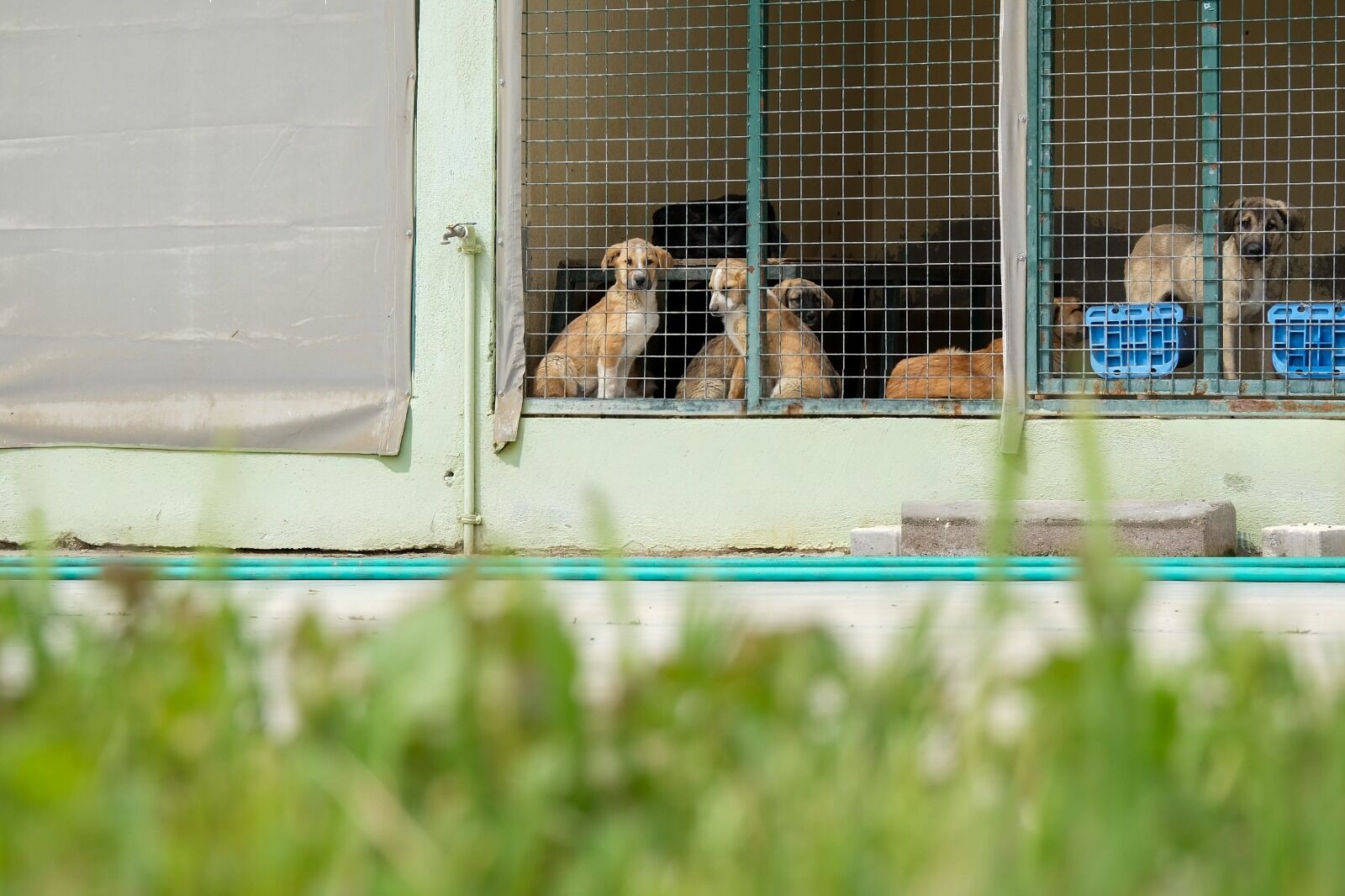 İstatistiklerle Menemen’in şefkat karnesi