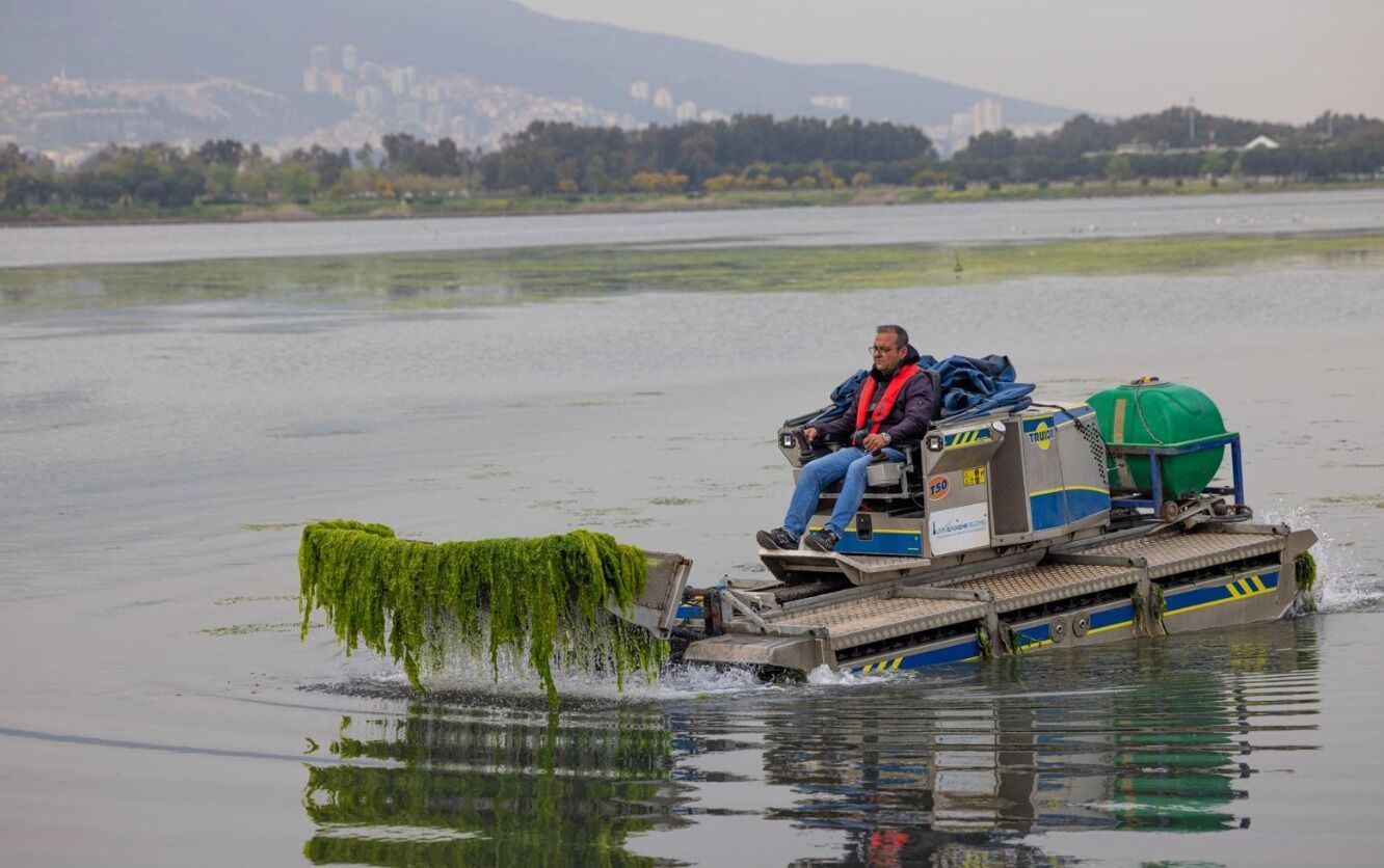 Aslında yosunlar denizin filtresi 